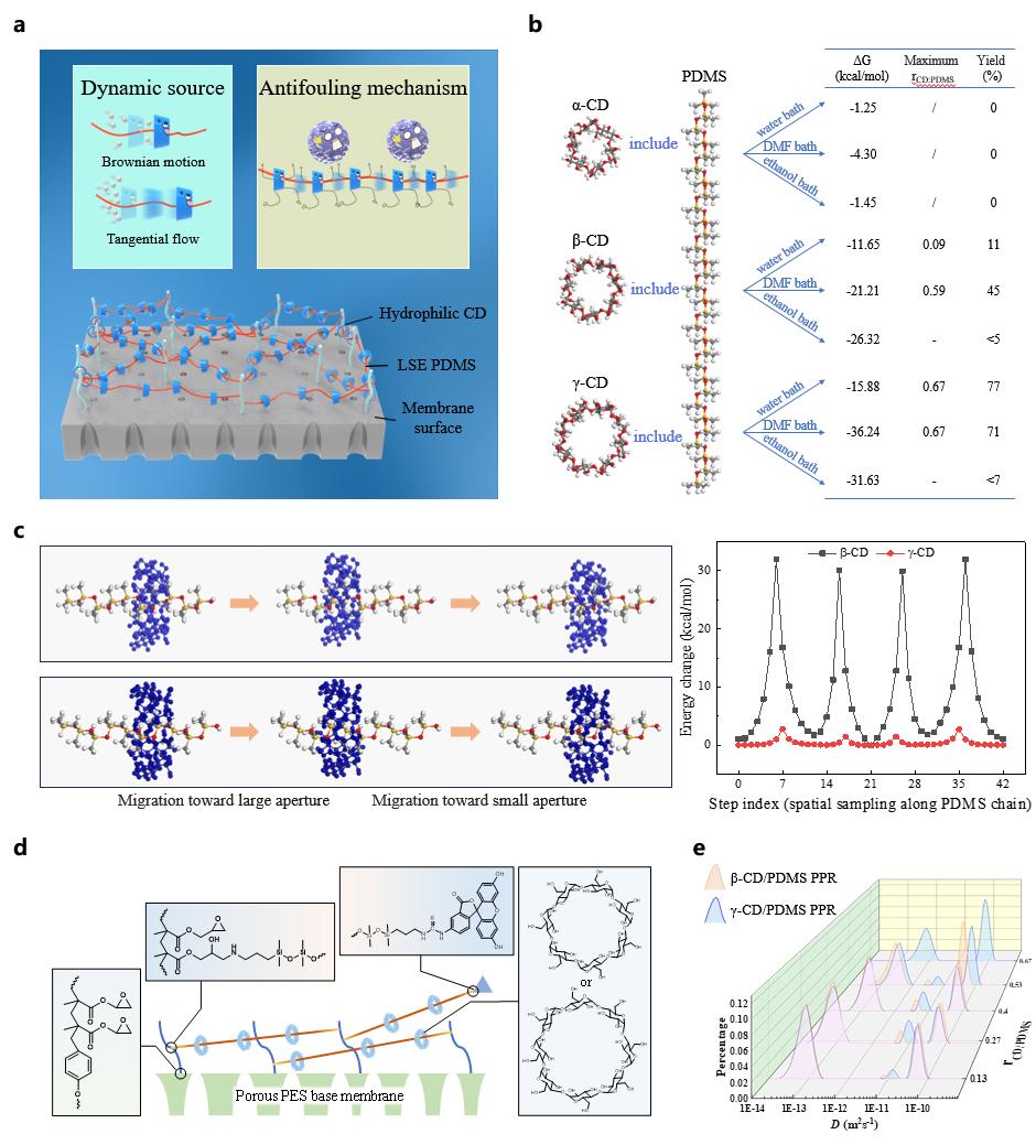 超分子結(jié)構(gòu)與動(dòng)態(tài)性模擬、表征