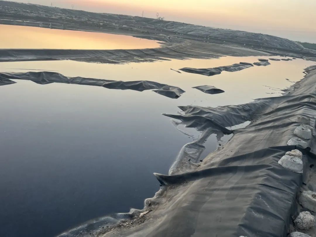 1709285934725341.jpg 1709285934725341.jpg